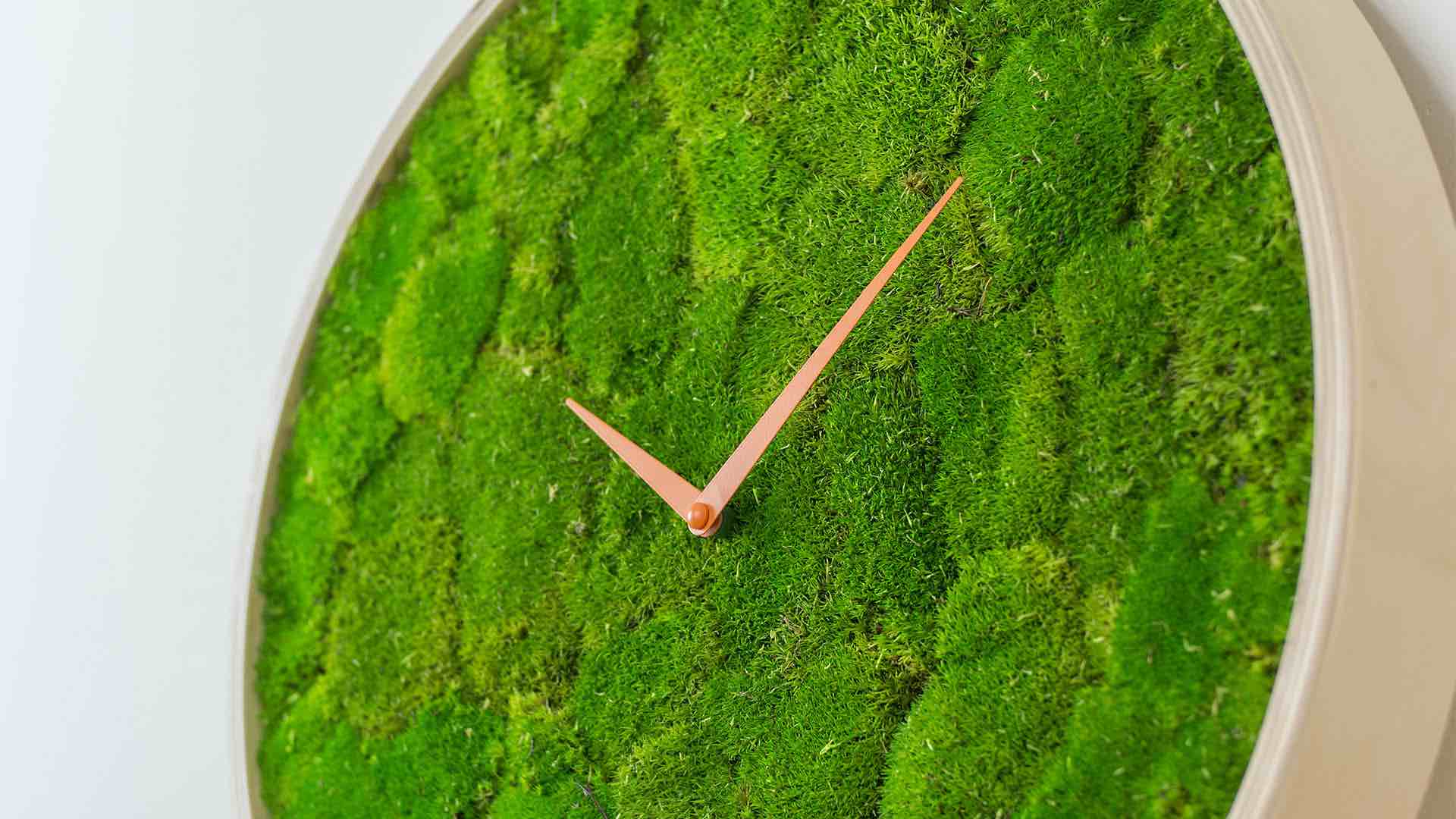 duurzame interieur designers